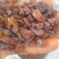 خریدوفروش عمده کشمش و مویز آفتابی درجه یک|عمده‌فروشی|شیراز, گویم|دیوار