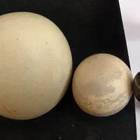 فروش سنگ الماس آسیاب