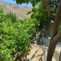 400متر زمین کشاورزی باغ میوه دهکده توریستی سنگان