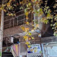 اجاره مغازه ۹ متری.امام رضا