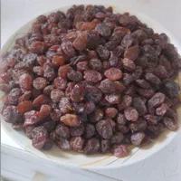 کشمش تاکستان