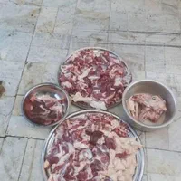 همه وزن همه نژاد گوسفند زنده ارگانیک پلاک دامپزشکی|حیوانات مزرعه|کرج, عظیمیه|دیوار