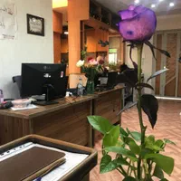 طراحی حرفه‌ای سایت و اپلیکیشن با پشتیبانی 24ساعته|خدمات رایانه‌ای و موبایل|شیراز, عفیف‌آباد|دیوار