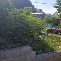 ۱۷۵ مترمسکونی  با چشم انداز بی نظیر کوهپایه دیزبن|فروش زمین و ملک کلنگی|لاهیجان, لیالستان|دیوار