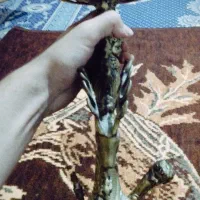قلیون برنجی نقش فرشته و گوزن|کوهنوردی و کمپینگ|تهران, شهران جنوبی|دیوار