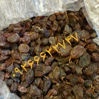 کشمش افتابی