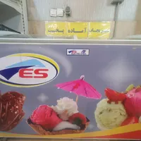 فریزر صندوقی الکترواستیل|یخچال و فریزر|مشهد, اقبال|دیوار