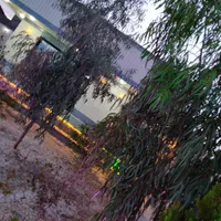 ویلا باغ خوشکل کد55