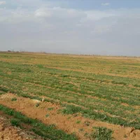 ۳۰۰۰ مترمربع زمین کشاورزی حاصلخیز|فروش دفتر صنعتی، کشاورزی، تجاری|کرج, اکبرآباد|دیوار