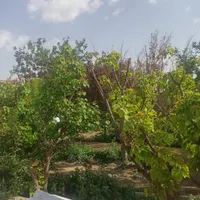 فروش یا معاوضه باغ با امکانات|فروش زمین و ملک کلنگی|اصفهان, خیادان|دیوار