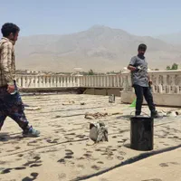 اجاره فروش تخته بشکه ایزوگام قیر گونی آسفالت|خدمات پیشه و مهارت|دماوند, دماوند|دیوار