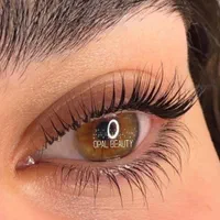 لیفت و لمینت ابرو و مژه/ کاشت مژه/ اکستنشن مژه|خدمات آرایشگری و زیبایی|اصفهان, شاهزید|دیوار