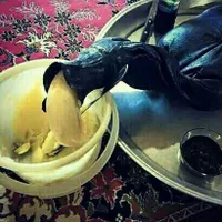 روغن محلی گاوی به شرط و تضمین و عطر و بو