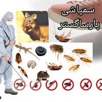 سم‌پاشی *تخصصی* موش و سمپاشی سوسک کک پشه ساس|خدمات نظافت|رشت, بوسار|دیوار