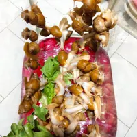 حلزون درمانی