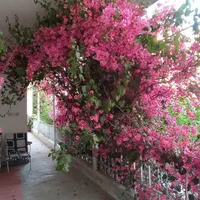 اجاره روزانه/هفتگی/ماهانه آپارتمان.شبانه روزی|اجارهٔ کوتاه‌مدت آپارتمان و سوئیت|آزادشهر, |دیوار