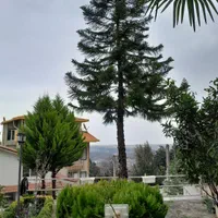 خدمات باغبانی وباغداری،گلکاری، تراش،سمپاشی|خدمات باغبانی و درختکاری|رامسر, |دیوار