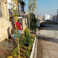خدمات باغبانی گلکاری هرسکاری سمپاشی صفر تا صدهمجا|خدمات باغبانی و درختکاری|پردیس, |دیوار