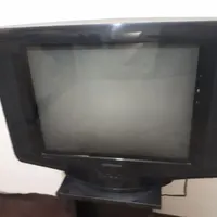 تلویزیون