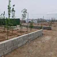 باغ و باغچه نقلی سند دار|فروش زمین و ملک کلنگی|صفادشت, |دیوار