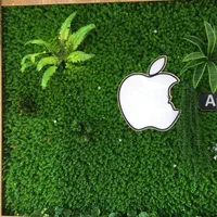 دیوار سبز گل دیواری گرین وال|گل مصنوعی|ارومیه, |دیوار