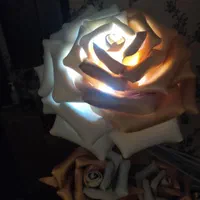 گل رز چراغدار فومی
