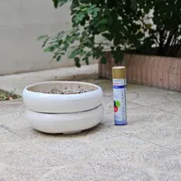 گلدان تخت بزرگ مخصوص بونسای|گل و گیاه طبیعی|کرمانشاه, |دیوار