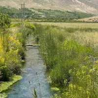 زمین ویلا باغی لوکس وتوپ برای شیرازیاوجنوبیای عزیز|فروش دفتر صنعتی، کشاورزی، تجاری|شیراز, ابیوردی|دیوار