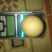سنگ اسیاب  قدیمی|کلکسیون اشیاء عتیقه|تهران, نعمت‌آباد|دیوار
