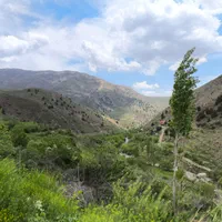 باغچه ویلایی ۴۷۰ متر لواسان بزرگ/جورد/وسکاره/پردیس|فروش زمین و ملک کلنگی|لواسان, |دیوار