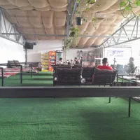 چمن مصنوعی ترموود تایل ۳۰در۳۰ ترموود...|مصالح و تجهیزات ساختمان|کرمان, |دیوار