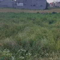 زمین مسکونی سند دار|فروش زمین و ملک کلنگی|رشت, پیرکلاچای|دیوار