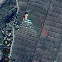 زمین مزرعه شالیزار 2240 متری در کلیمان|فروش زمین و ملک کلنگی|رضوانشهر, |دیوار