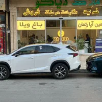 باغچه دور دیوار شاهنامه گوارشک حسن آباد ماریان