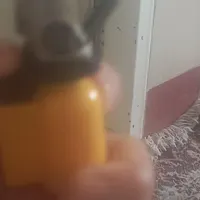 فندک  اتمی کپسولی و کاکتوس بزرگ|گل و گیاه طبیعی|تربت جام, میرقوام الدین|دیوار