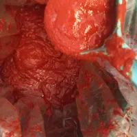 رب گوجه رب انار وزرشک ولیموعمانی نارنج و رب آلوچه|عمده‌فروشی|شیراز, شهرک ولیعصر|دیوار