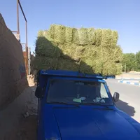 پرس گندم و یونجه تحویل اصفهان|حیوانات مزرعه|داران, |دیوار
