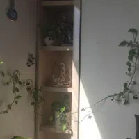 گل پتوس همراه با گلدان