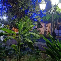 ویلا پسندان|اجارهٔ کوتاهمدت ویلا و باغ|بوشهر, |دیوار