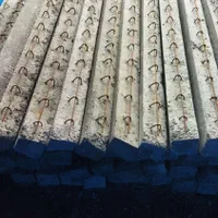 پایه فنس و پایه میم (انگور )پایه بتنی|عمدهفروشی|بجنورد, |دیوار