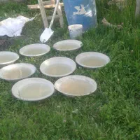 گچکاری گچ کاری گچبری ولکه گیری کلی جز ئ حتی نیم|خدمات پیشه و مهارت|تبریز, |دیوار