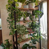 طراحی دکوراسیون، رگال،میز پیشخوان، شلف،|فروشگاه و مغازه|قزوین, |دیوار