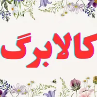 کالا برگ اعتباری دولت