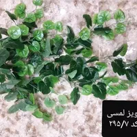 بوته آویز برگ گل مصنوعی کاج|گل مصنوعی|فردیس, |دیوار