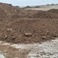 کود گاوی و خاک باغچع|خدمات باغبانی و درختکاری|مشهد, شهرک صنعتی توس|دیوار
