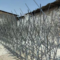 تولیدی نرده دیواری.دزدگیر.حفاظ شاخ گوزنی بوته ای|خدمات پیشه و مهارت|شیراز, پانصد دستگاه ارتش|دیوار