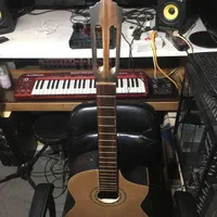 اموزش گیتار و خوانندگی صددرصد تضمینی|خدمات آموزشی|شهریار, |دیوار