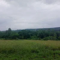 زمین مسکونی ۴۰۰متر سنگر سراوان کچا جوکلبندان گلسرک|فروش زمین و ملک کلنگی|سنگر, |دیوار