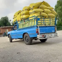 باربری حمل بار اثاث با کارگر و بدون کارگر|خدمات حمل و نقل|رامهرمز, |دیوار