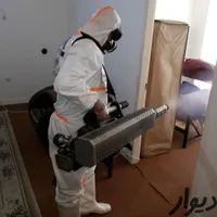 سمپاشی موریانه ساس سوسک سم پاشی شرکتی